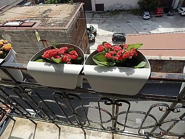 Apartman Manola Apartment Rijeka 0*,
